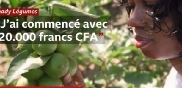 Khady Légumes : De 20 000 FCFA à la Révolution Agricole Numérique au Sénégal