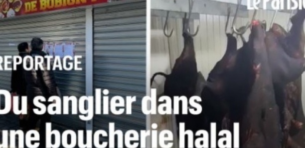 « On n’est pas respectés ! » : des sangliers retrouvés dans une boucherie halal du 93