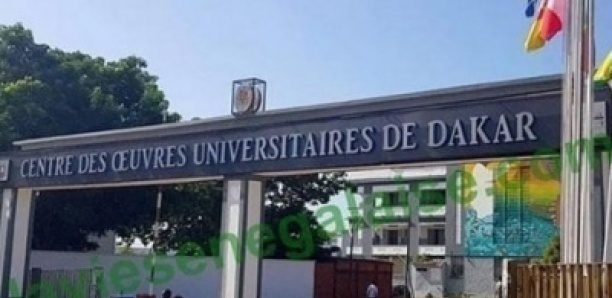 Faculté des Lettres (Ucad) : «Des notes gonflées en échange d'argent ou de faveurs sexuelles»