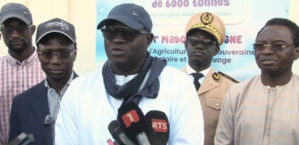 Perte colossale de 600 millions FCFA pour l’agrobusiness : Birane Boye interpelle les autorités