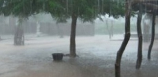 Début de l'hivernage : Une forte pluie accompagnée de vent s'abat sur Ziguinchor