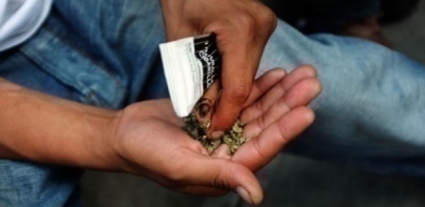 Trafic de drogue à la gare du Ter de Colobane : un Malien arrêté avec 25 sachets de kush