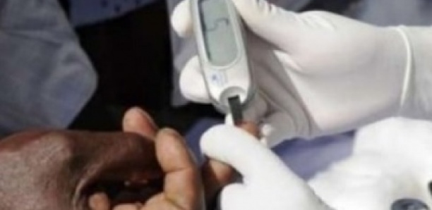 Kaffrine : 258 personnes dépistées de diabète, de l’hypertension et de l’hépatite B