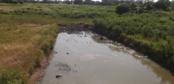 Tambacounda : un enfant de huit (8) ans emporté par les eaux de la vallée du Mamacounda, son corps introuvable