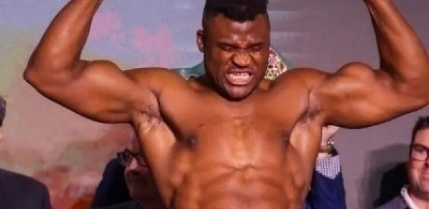 MMA en Afrique : Francis Ngannou nommé président de la nouvelle Ligue PFL