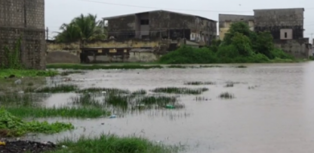 Il pleut des cordes sur Ziguinchor : Goumel dévasté