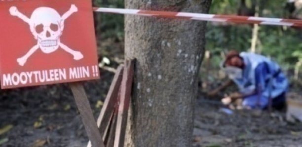 870 victimes des mines en Casamance : le déminage bouclé en mars 2026