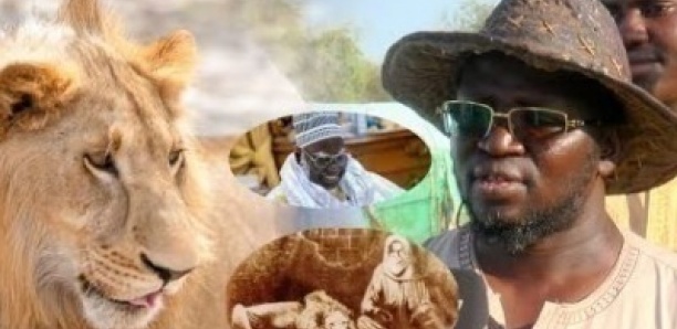 Touba : À la découverte de Fawzeyni, le Lion de Serigne Mountakha