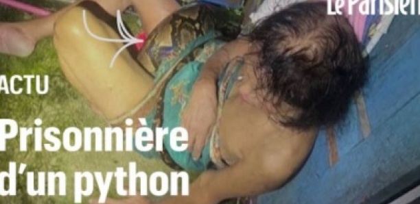 Le cauchemar de cette femme enroulée par un python de 4 mètres