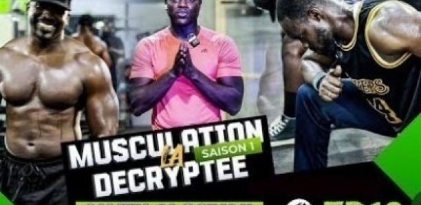 LA MUSCULATION DÉCRYPTÉE - Saison 1 - Épisode 12- avec Momo et Petit