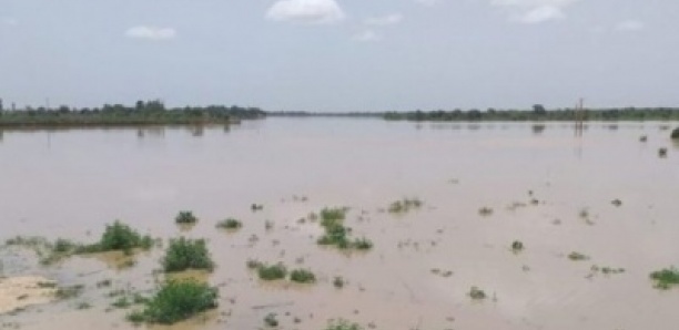 Montée des eaux du fleuve: Le village de Debi Tiguet vit un véritable calvaire