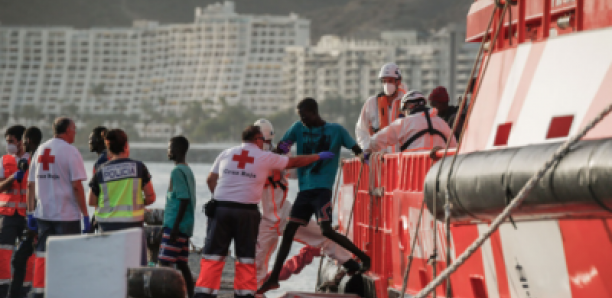 07 départs de pirogues sénégalais avec 878 migrants arrivés aux Canaries en un mois : Qu'en est-il de l'opération 