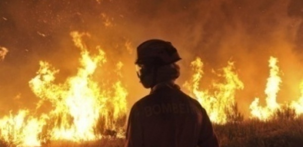 Tivaouane : Une série d'incendies inexpliqués ravage plusieurs concessions dans le village de Koul