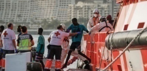 Espagne : L'étonnante saga de deux mineurs sénégalais accusés à tort d’être les capitaines d’une pirogue, l’ONU en arbitre