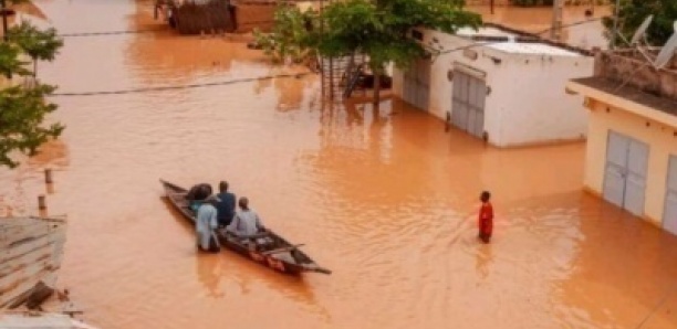 Crue du fleuve Sénégal : Belli Diallo, village de la résilience