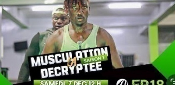 LA MUSCULATION DÉCRYPTÉE - Saison 1- Épisode 18 - Papis Fall Cœurs brisés