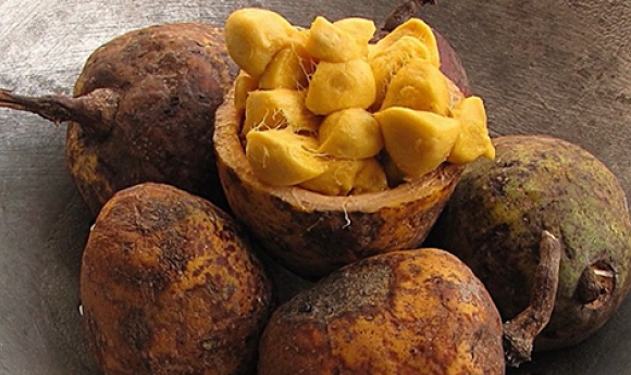 Le Saba Senegalensis Madd, Un Fruit Tropical Aux Mille Et Une Vertus