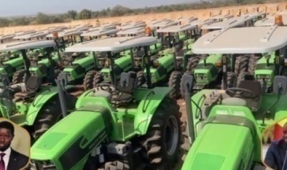 Agriculture : Comment Intermaq-sénégal Accompagne L’etat Et Les Paysans