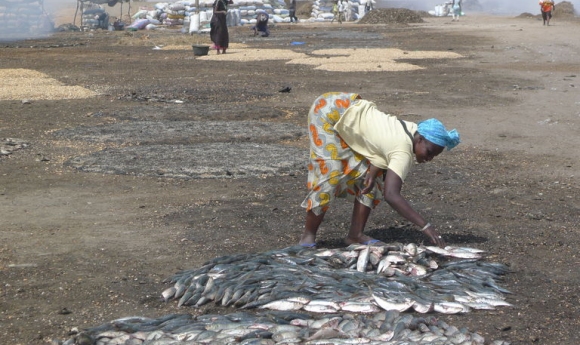 Les Côtes Sénégalaises, Nouveau Paradis Des Centrales à Charbon Sale