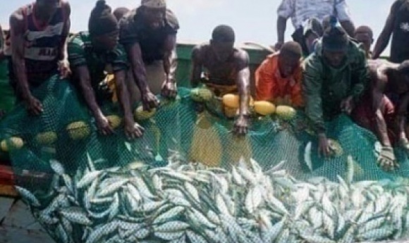 Secteur De La Pêche : Le Sytrapas Invite La Tutelle à Instaurer 