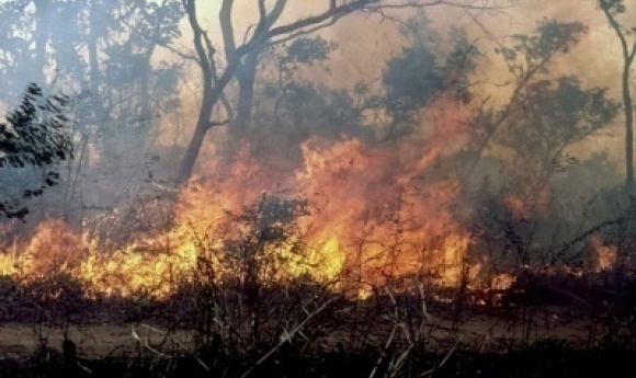 Vélingara : Un Violent Incendie Ravage Plusieurs Habitations